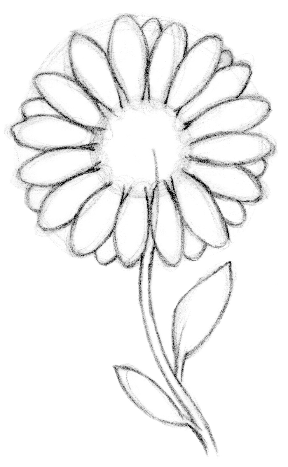 Cute Drawing Sketch Flowers with simple drawing