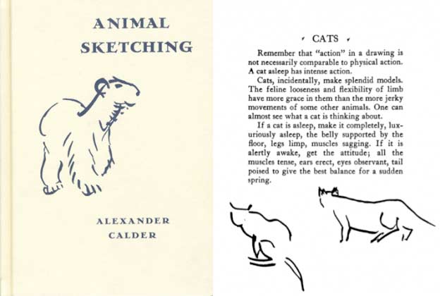 Animal Instinct in Sketching | The Scribbles Institute